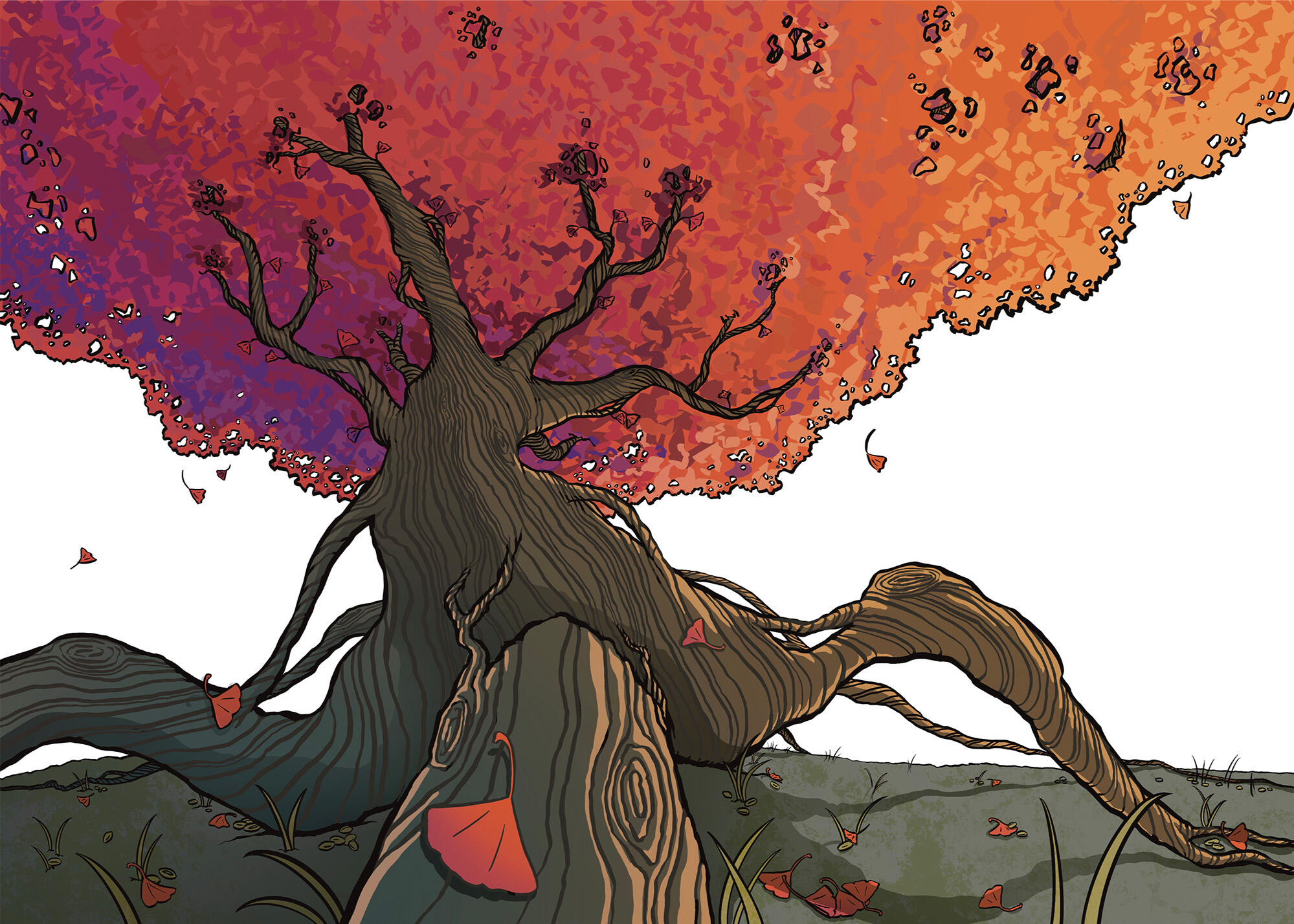 autumn tree